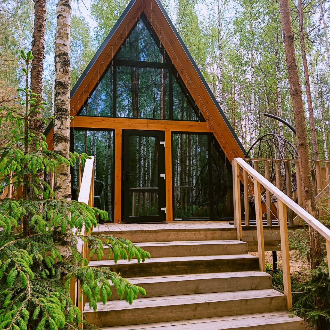 Фото Лесная сказка