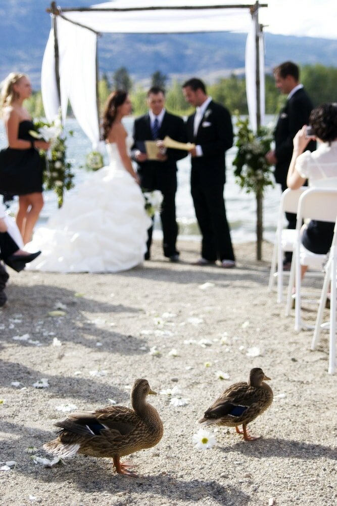 Фото Walnut Beach Resort