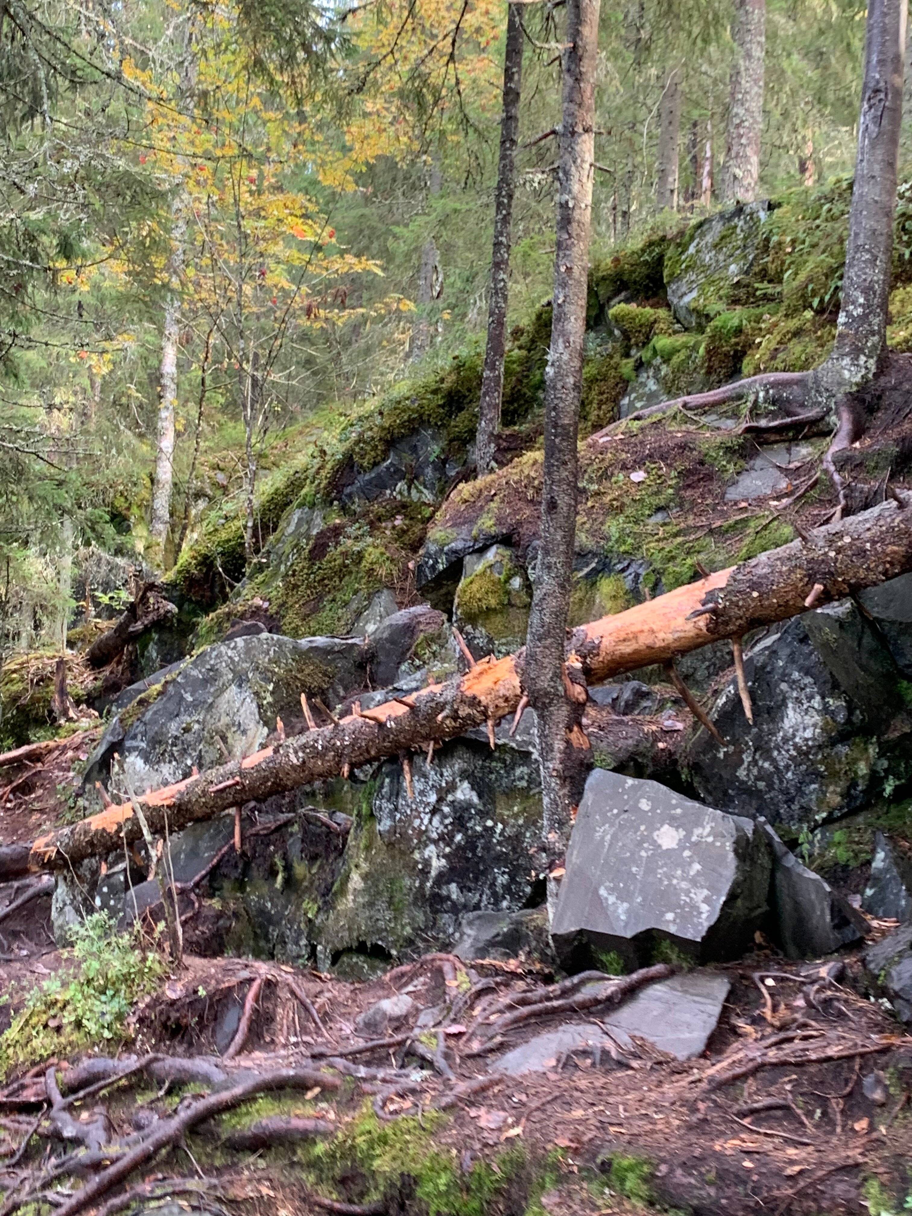 Фото Хутор Васильевых