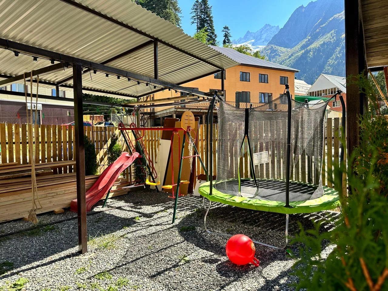 Фото Шафран