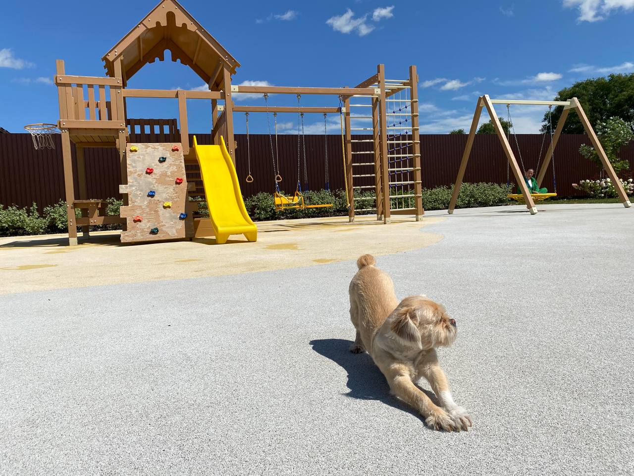 Фото Спектр