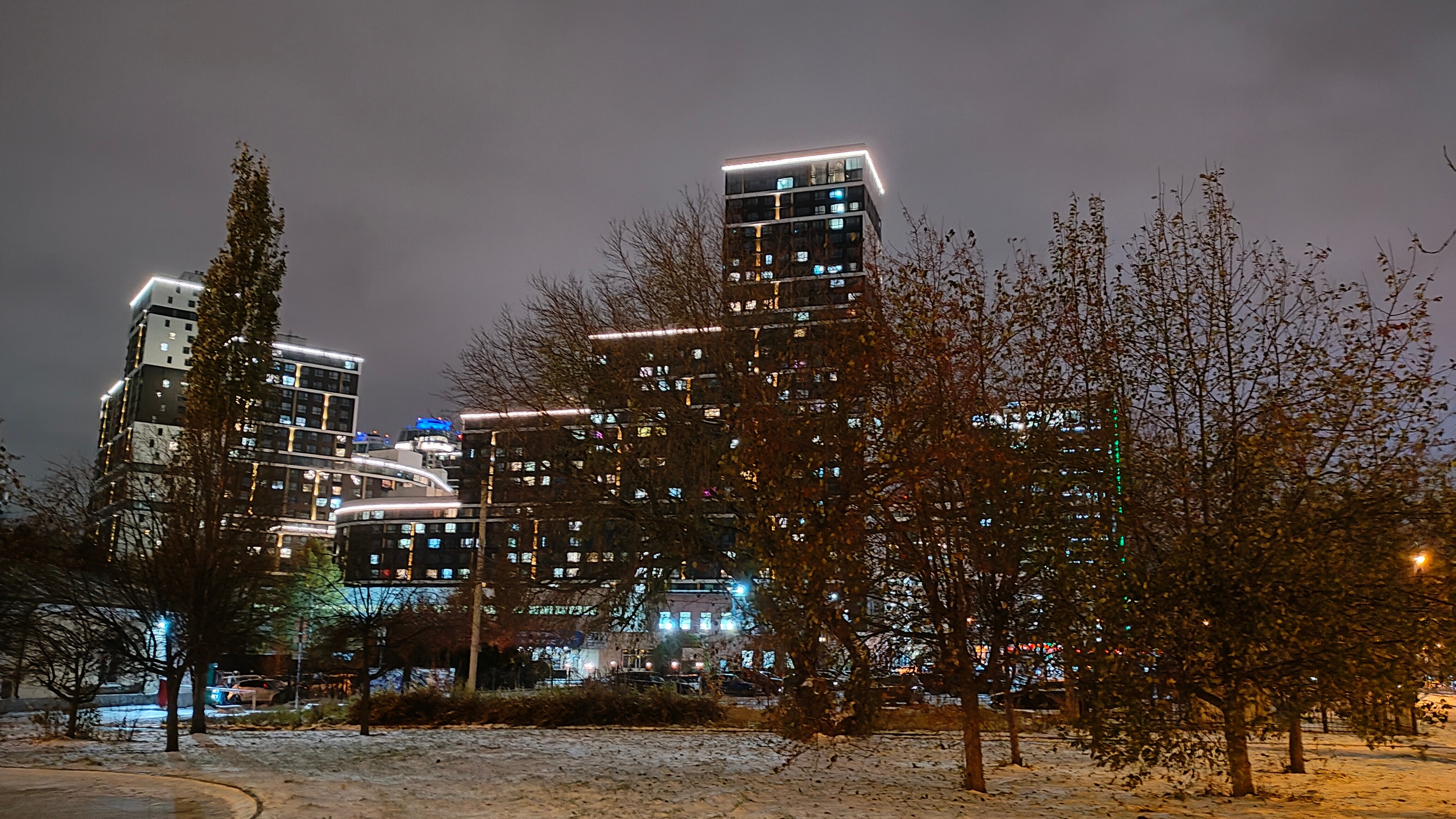Фото Белый Клевер