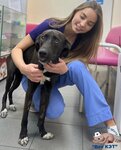 Vet Ket (Kulakova Street, 10к1), clínica veterinaria