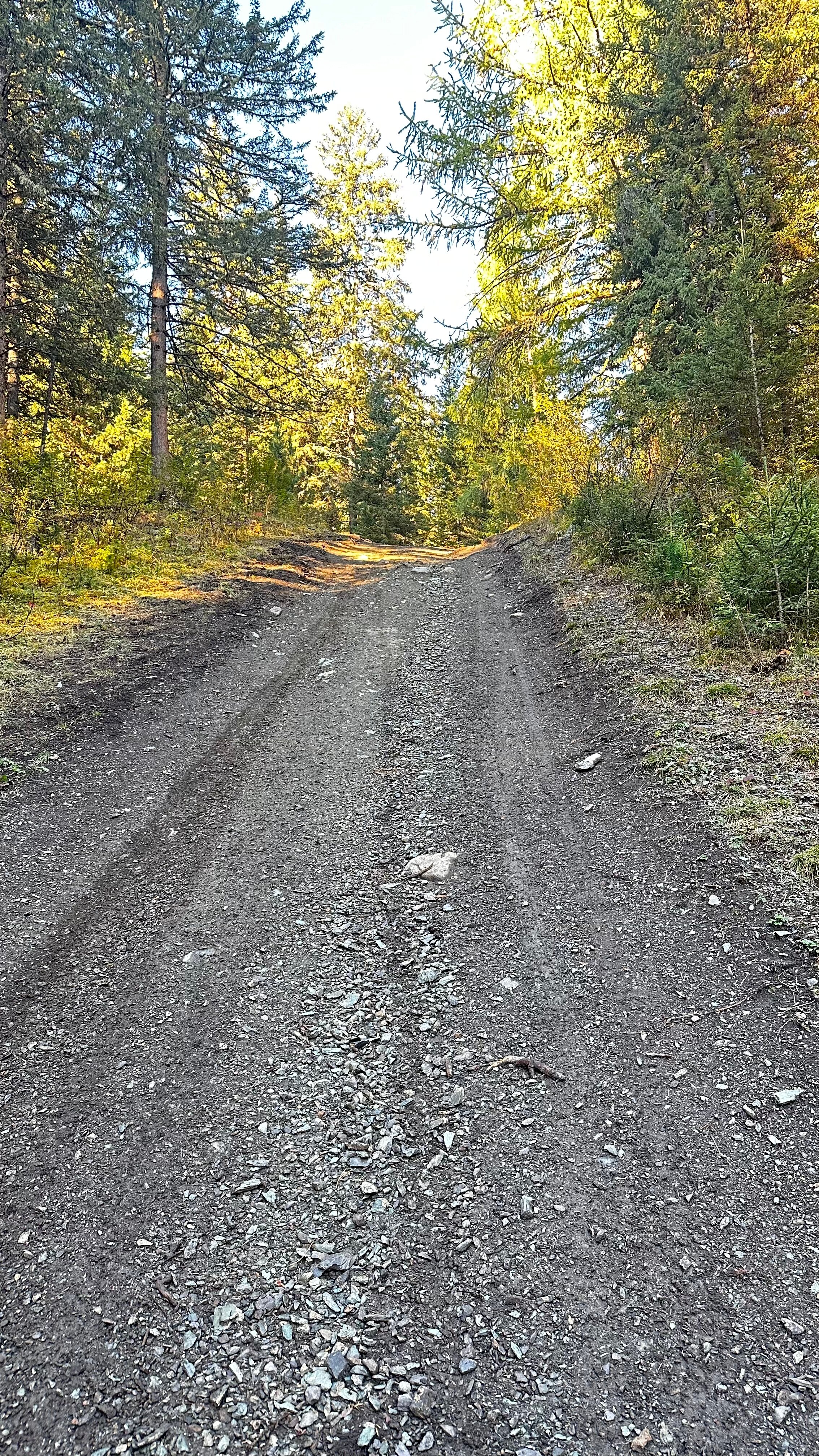 Фото Атмосфера Алтая