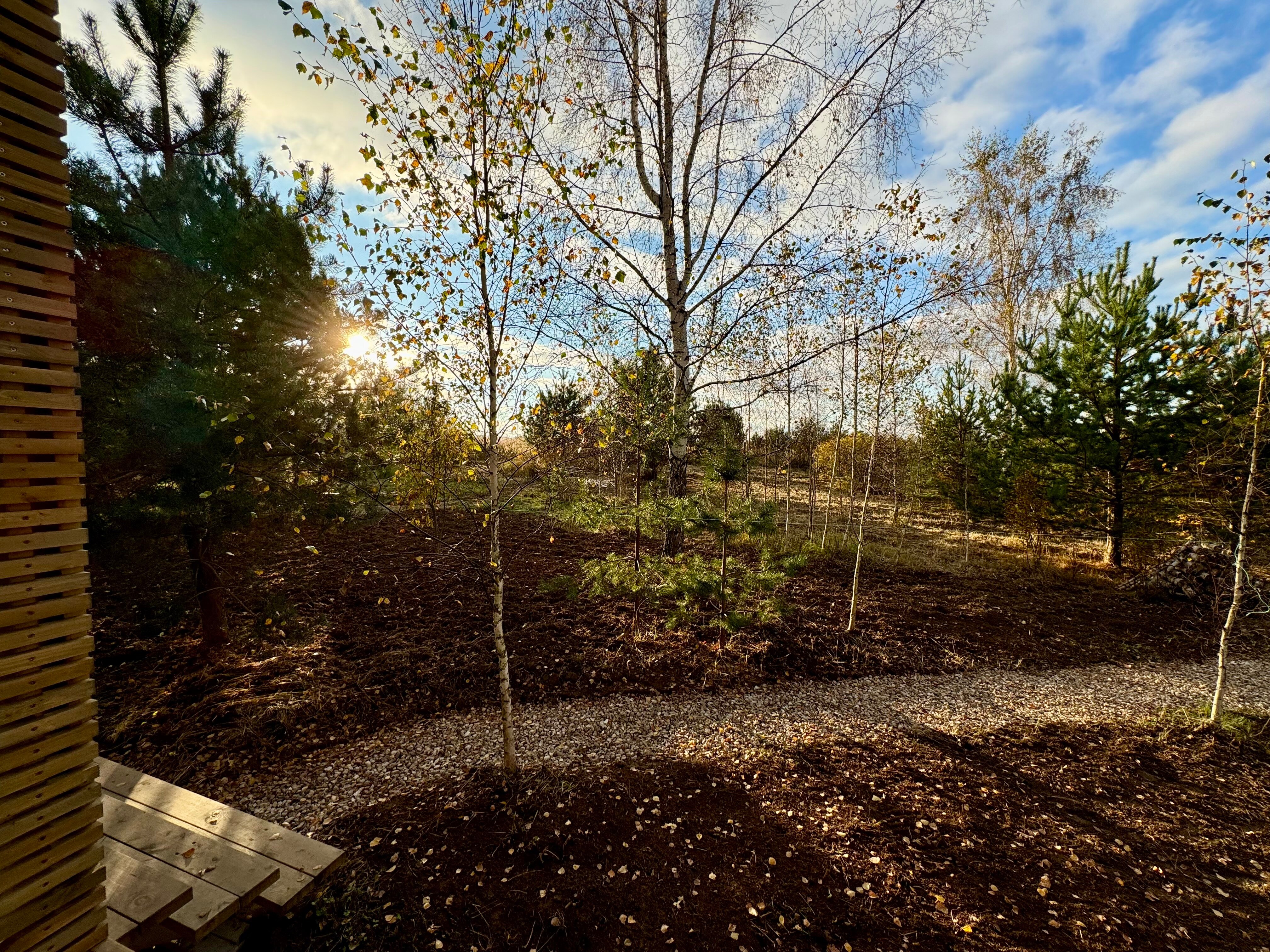 Фото Оазис Завидово