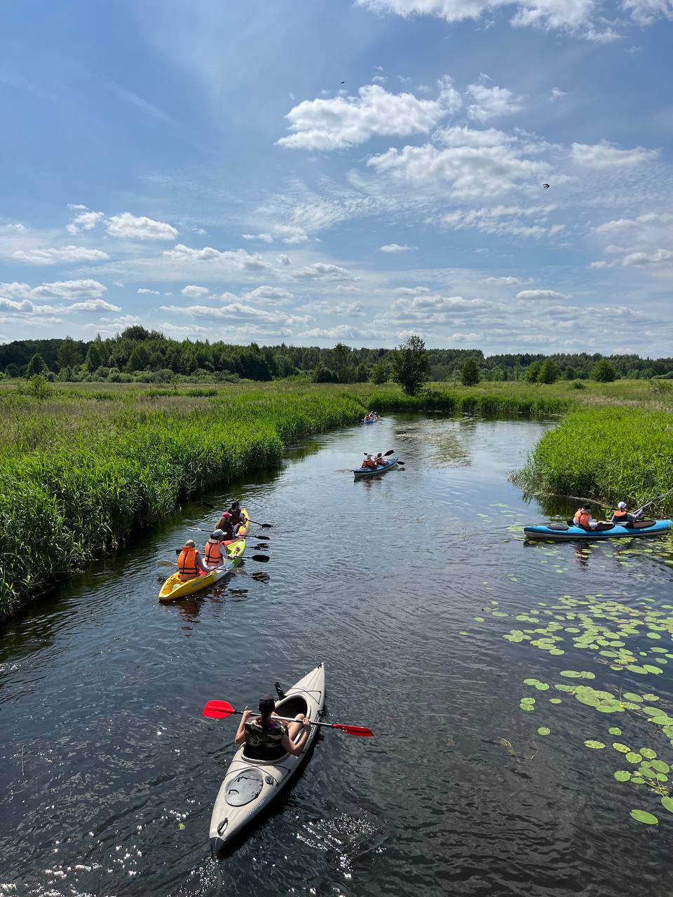 Фото Три медведя