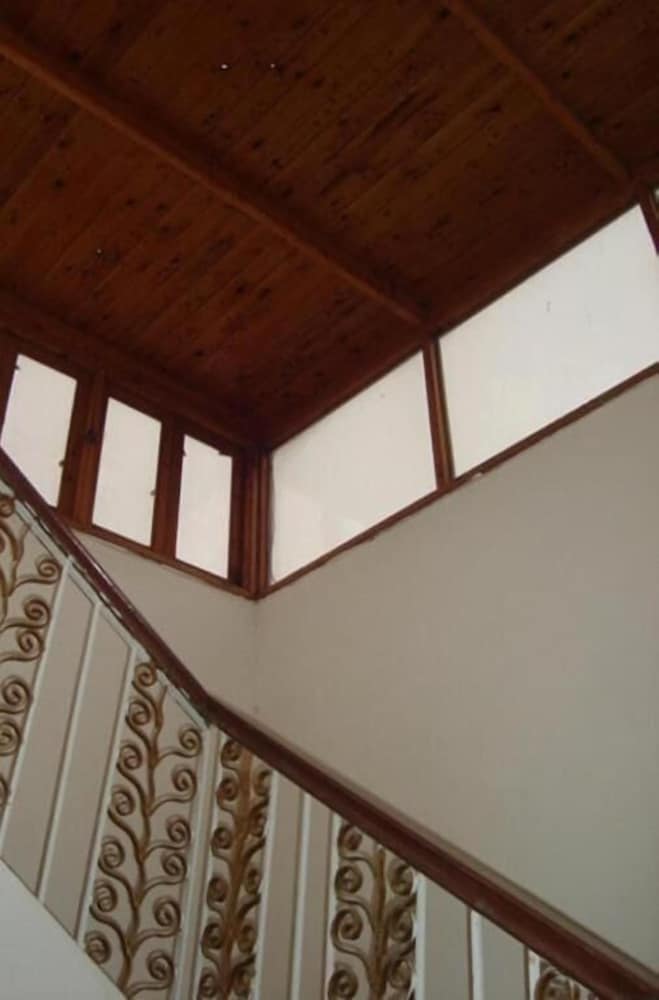 Фото Pharaonic Rose