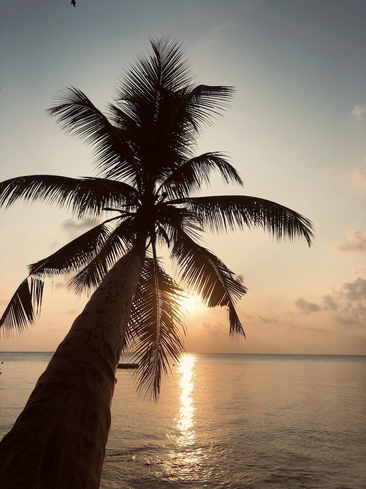 Фото Aqua Sunset