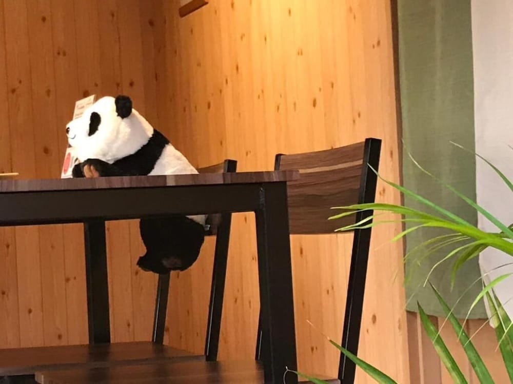 Фото Guest House Branchee