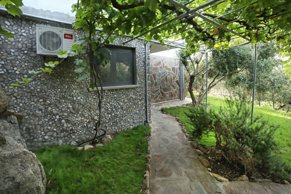 Фото Captain Ikaros