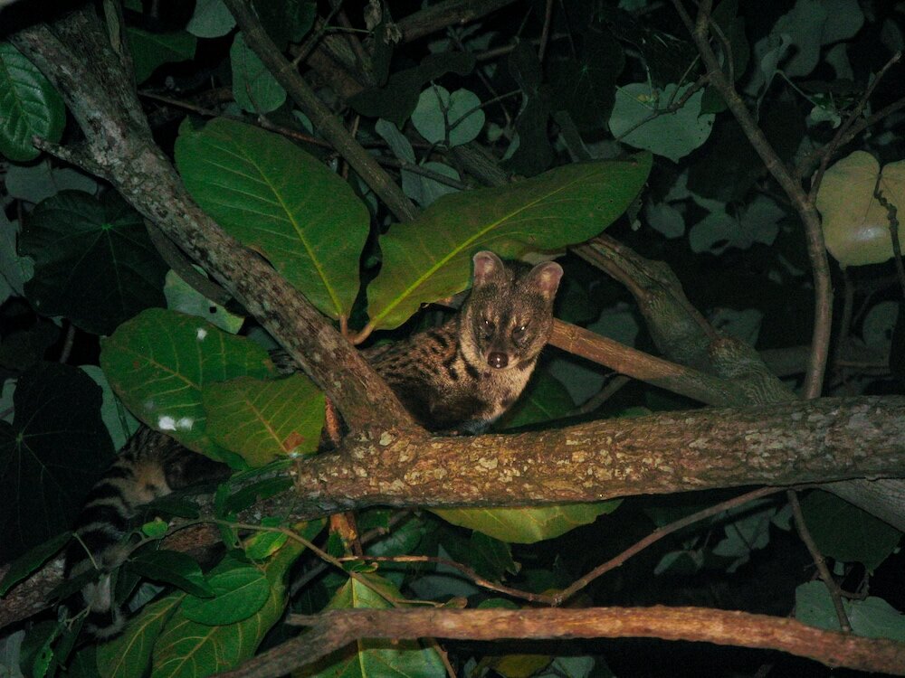 Фото Seashore Mirissa