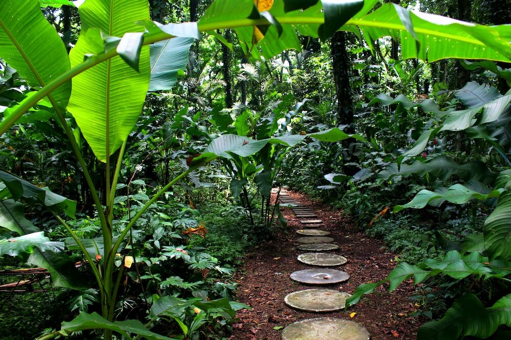 Фото Casa Cerise