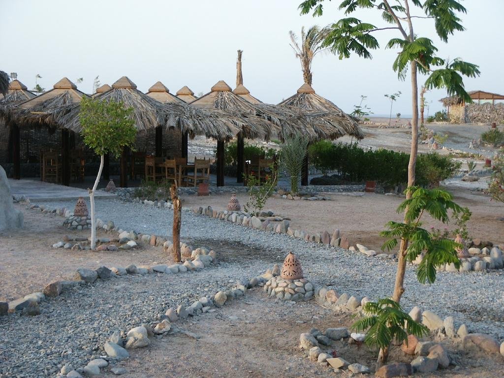 Фото Ecolodge Bedouin Valley