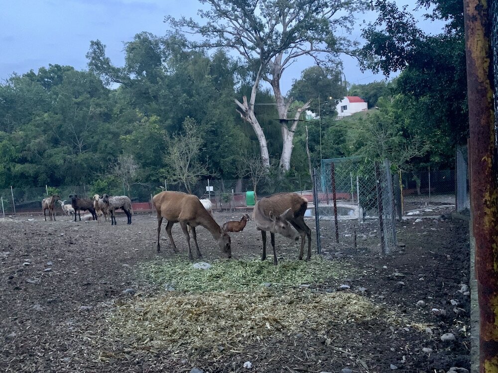 Фото Rancho Agua Salada