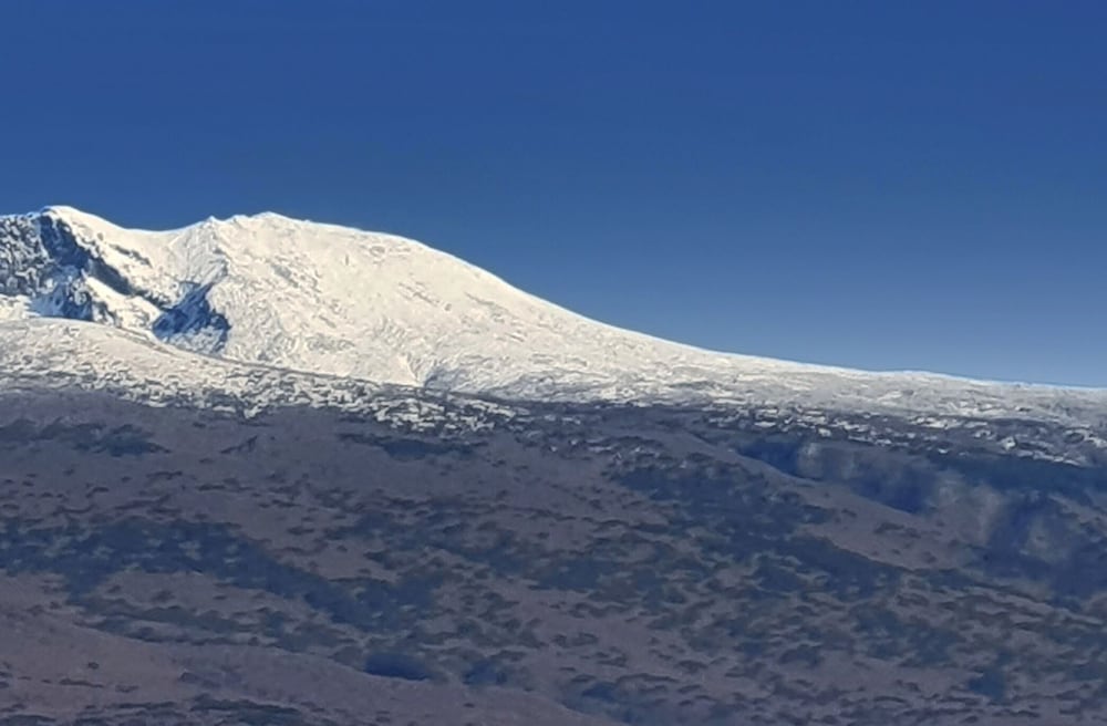 Фото Grandmillions Hotel