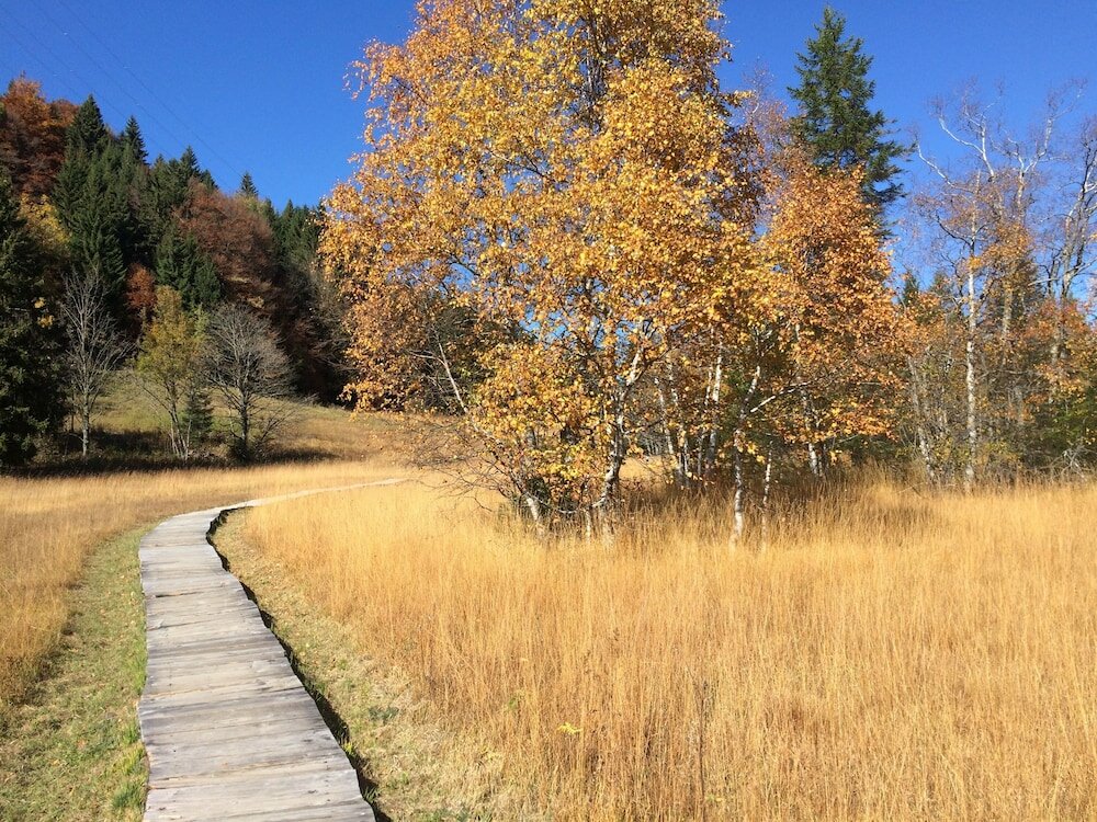 Фото Montreux holiday home
