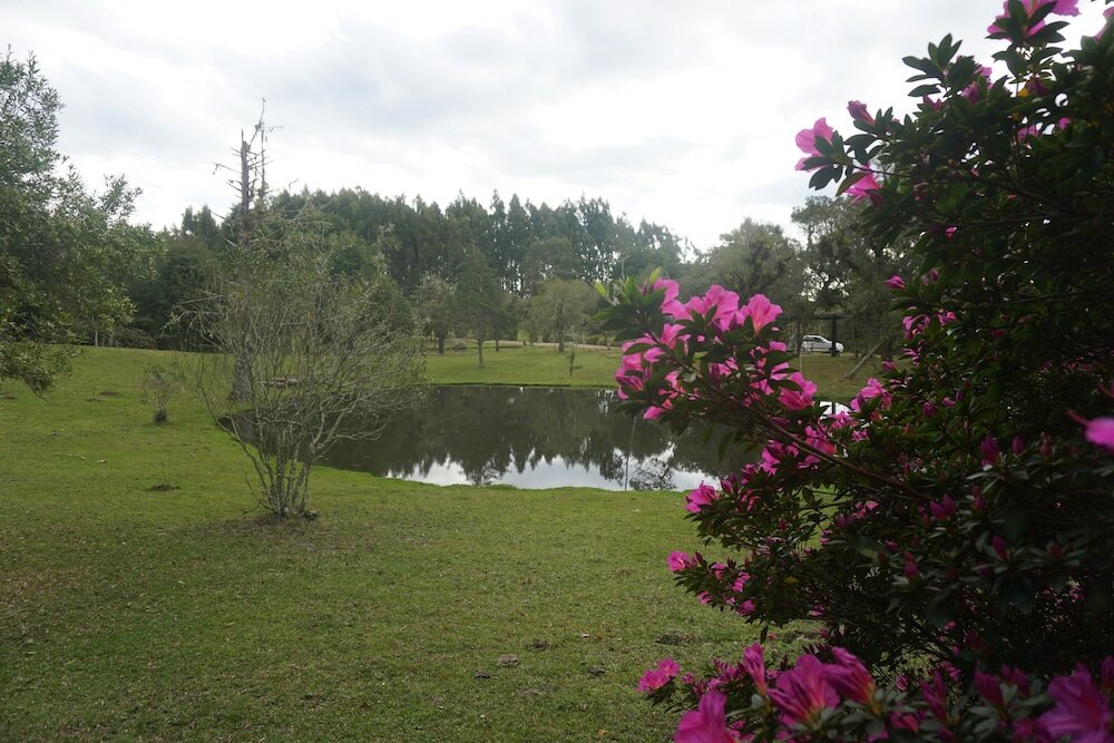 Фото Aires de Patagônia Pousada