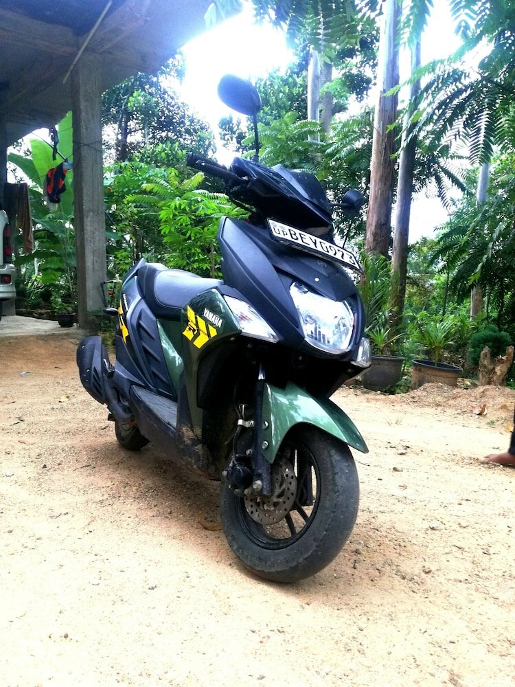 Фото Glen Rock Ella