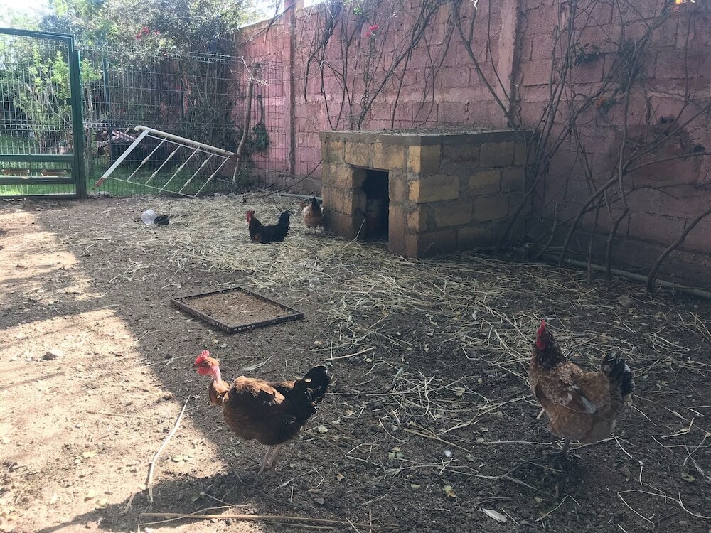 Фото Equi Palace & SPA