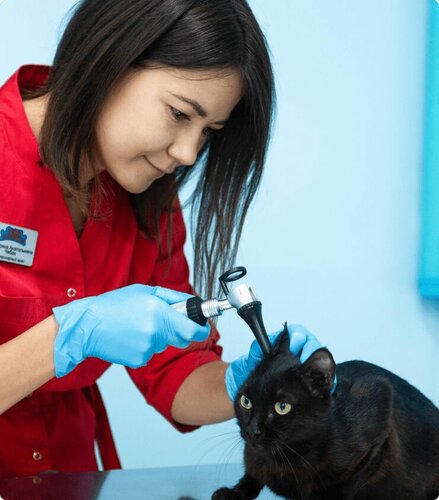 Бритни порно видео онлайн