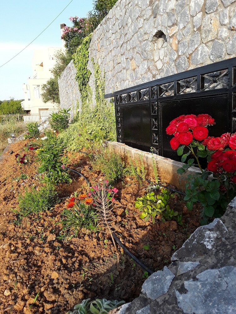 Фото Marianos Apartments