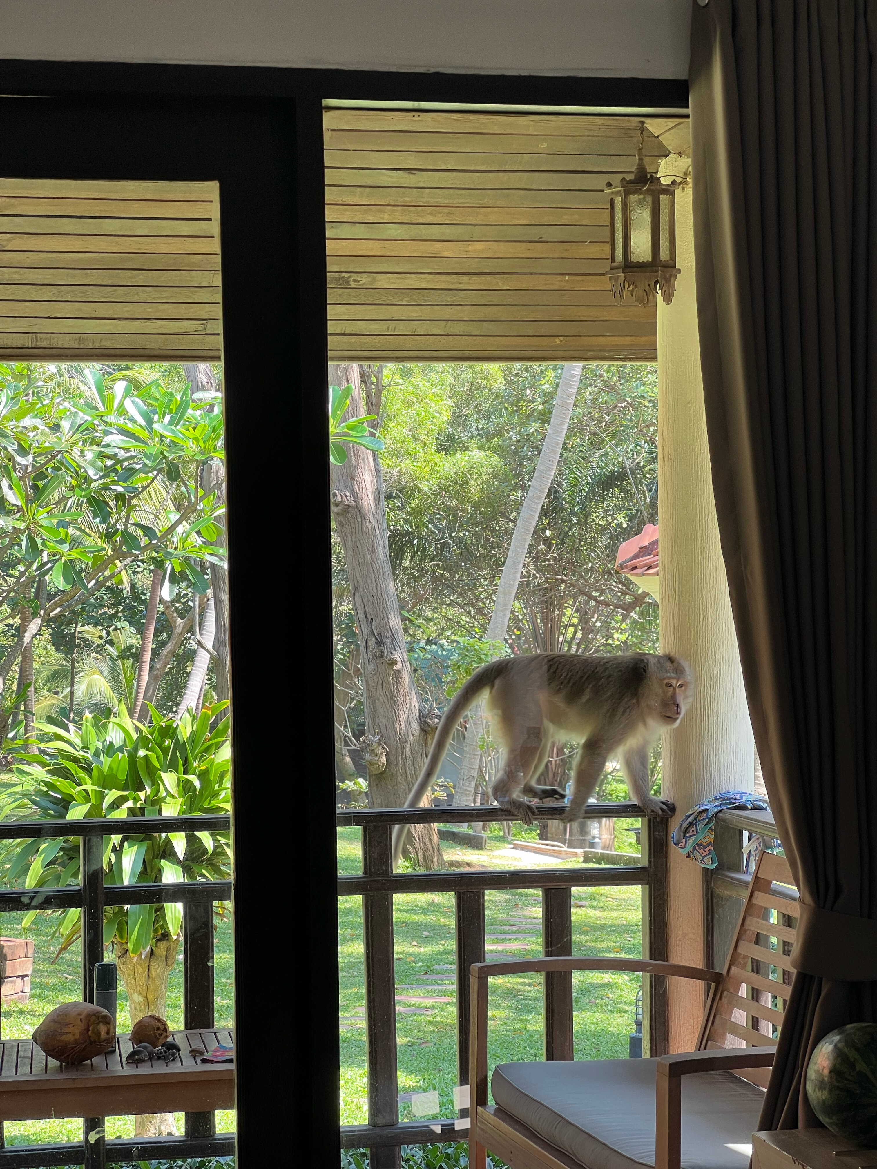 Aquavana Haad Rin Resort - 12