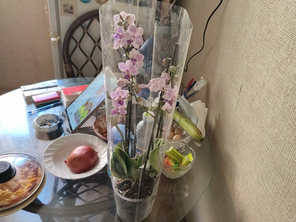 Игорь Безруков