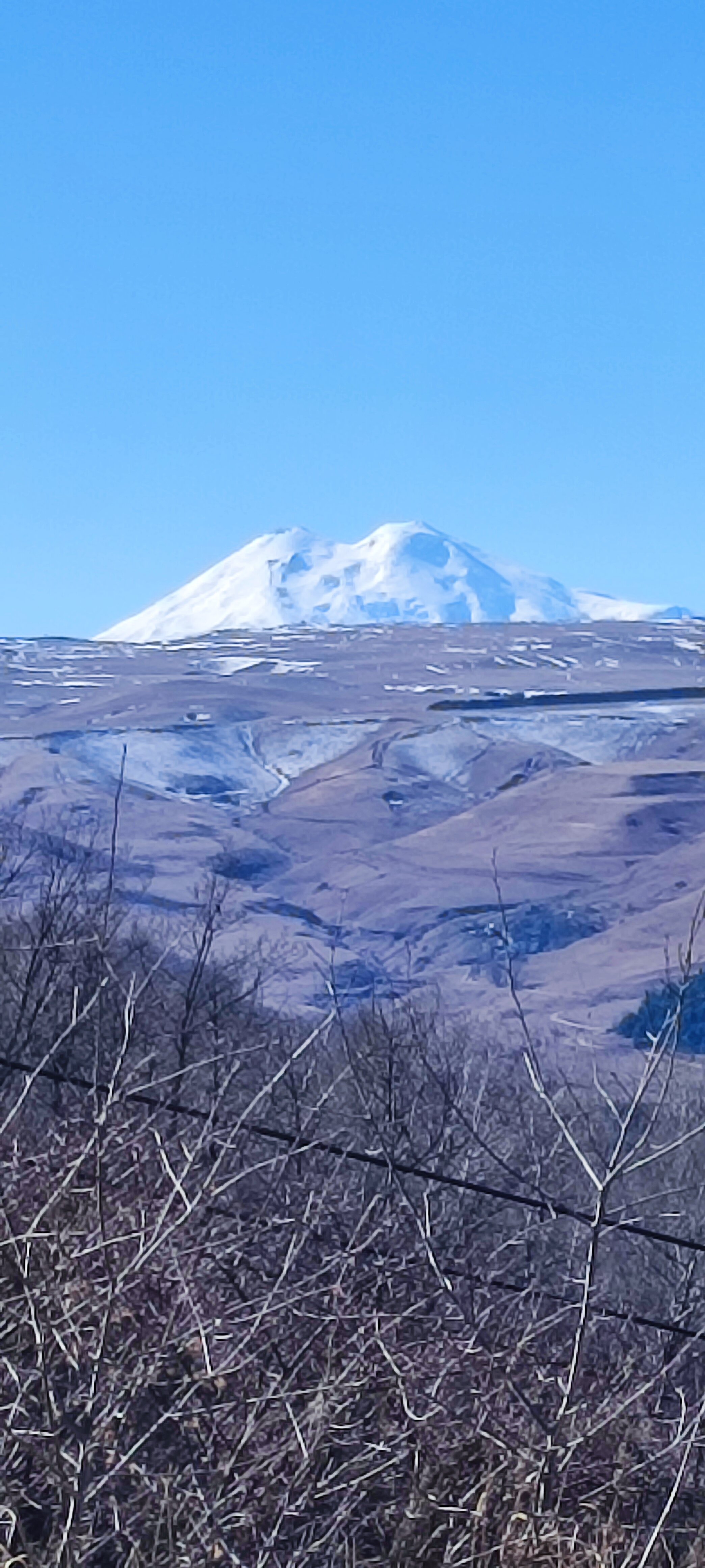 Фото Звездный