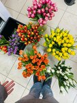 Цветочная Ария (Вольская ул., 79, Самара), магазин цветов в Самаре