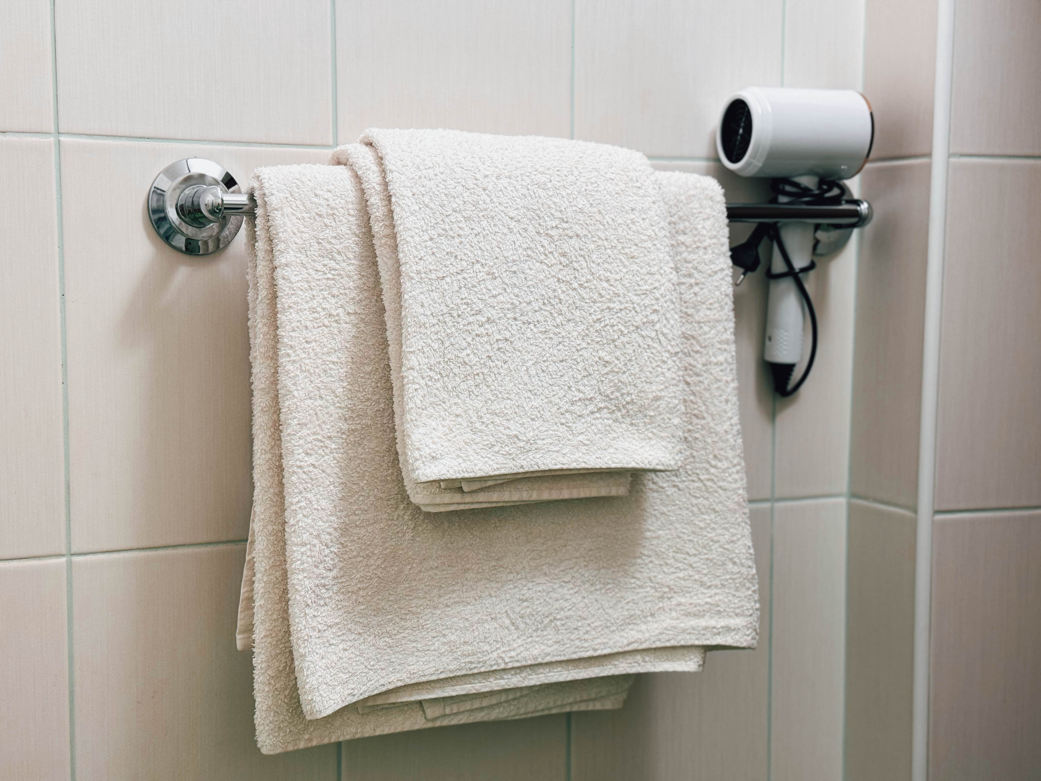 Фото Эдельвейс