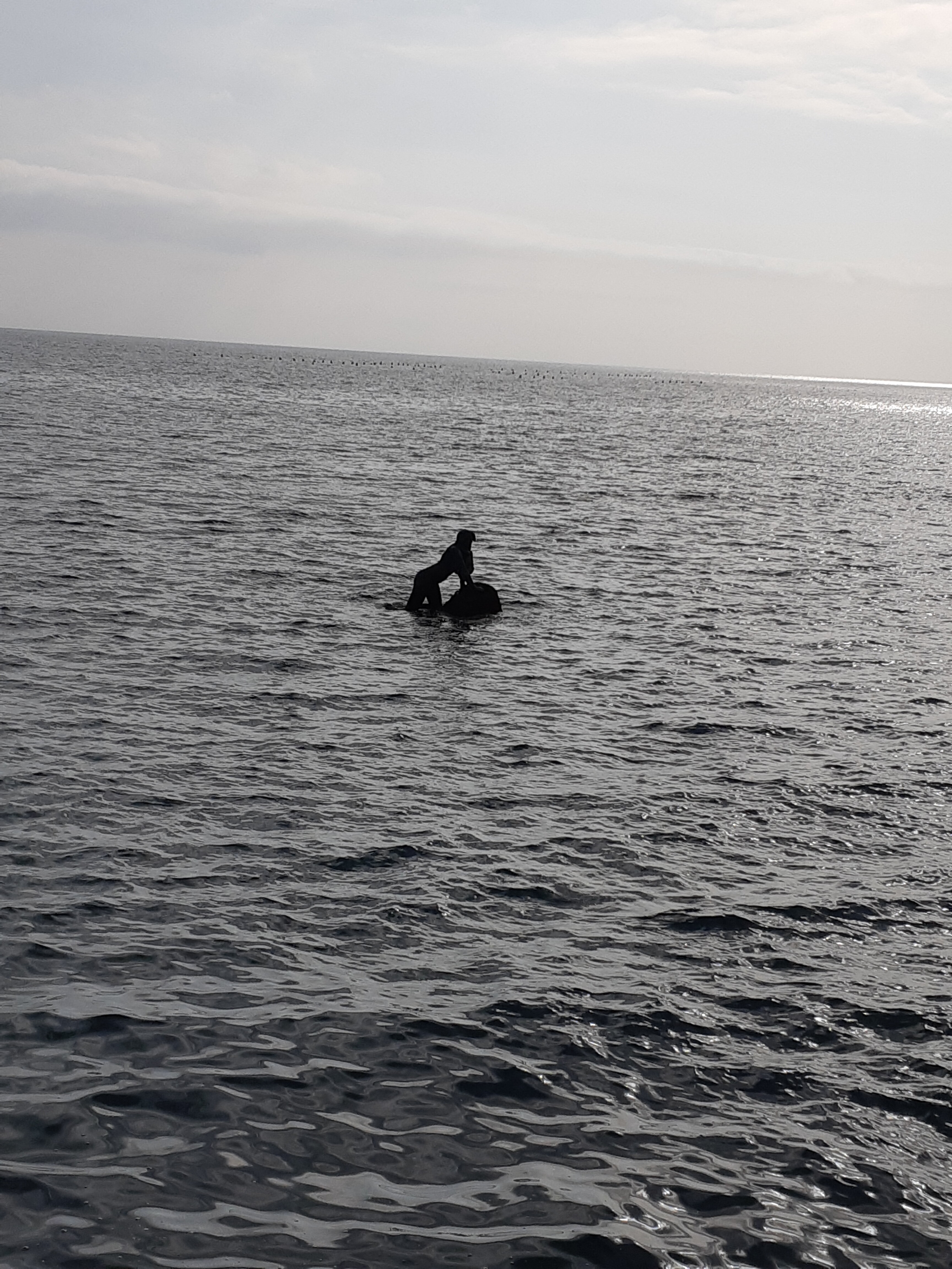 Фото Мисхорский парк