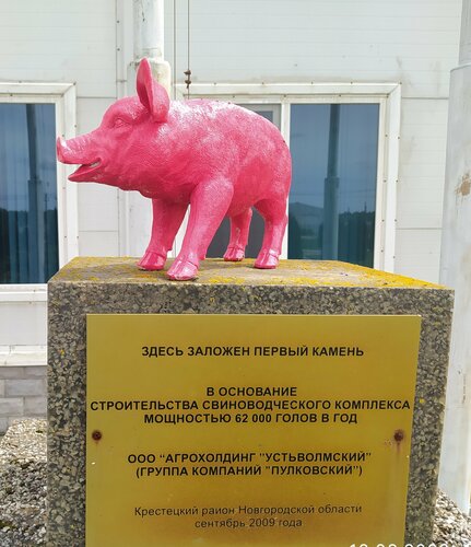 Животноводческое хозяйство Агрохолдинг Устьволмский, Новгородская область, фото