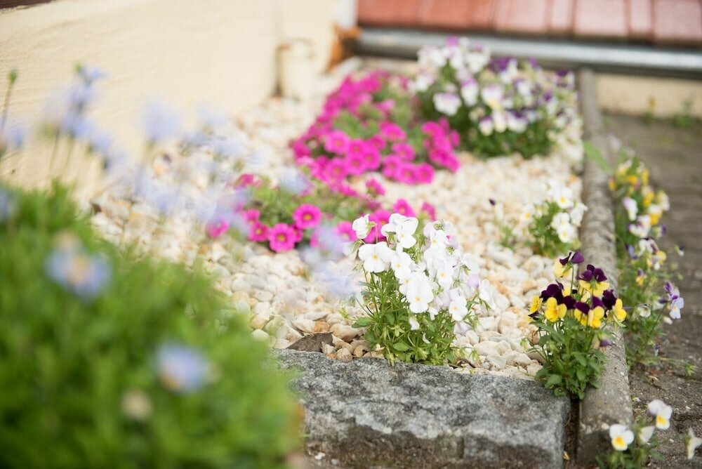 Фото Seeland Lodge