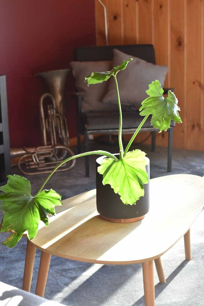 Фото Tutumaz by the River