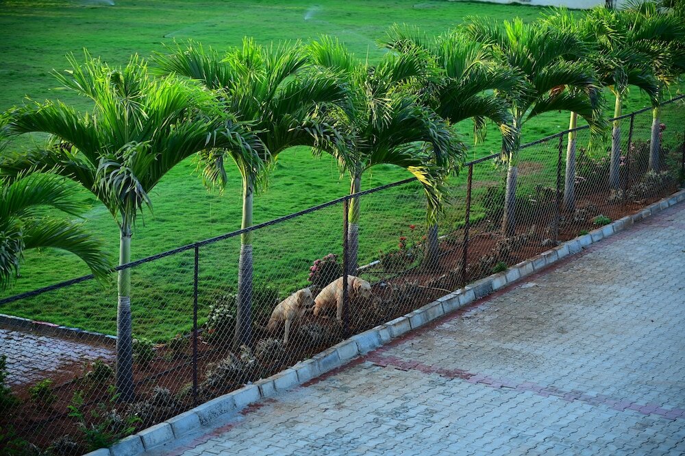 Фото Hotel Parth Residency