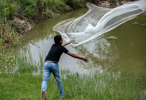 Внешний вид отеля Dholes Den Bandipur в Мангалa, фото 5