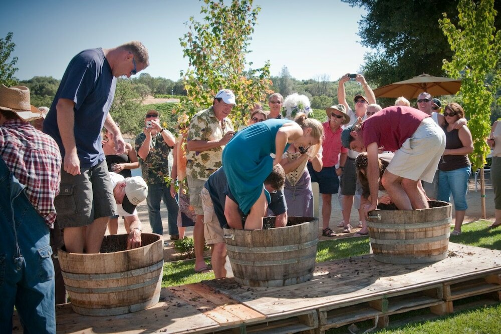 Фото The Davies Family Inn