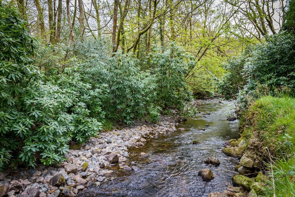 Фото Stanley House