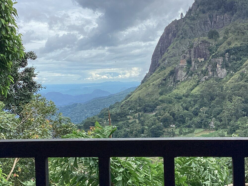 Фото Viewfront Ella