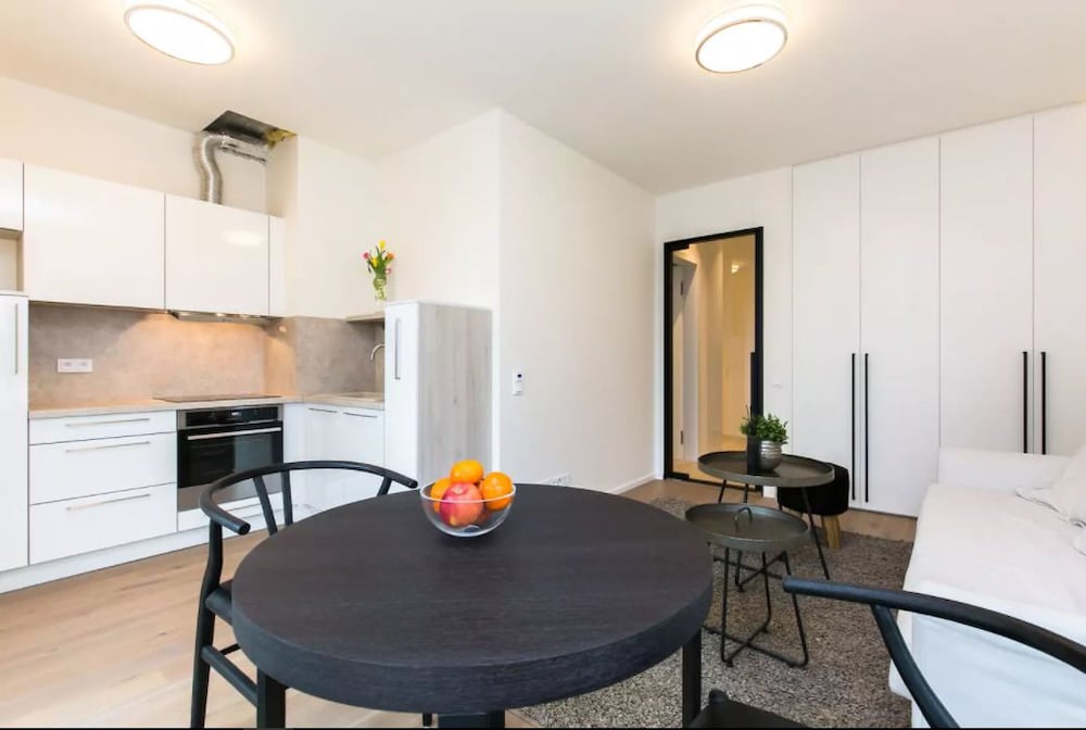 Фото Flawless Apartments Pod Děkankou