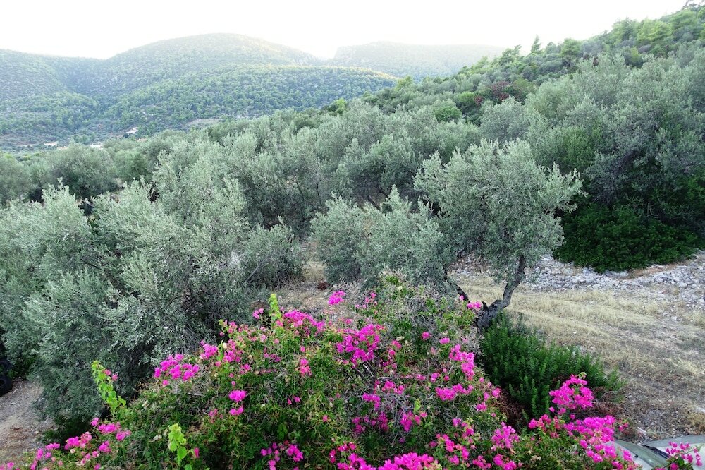 Фото Aristides Homes