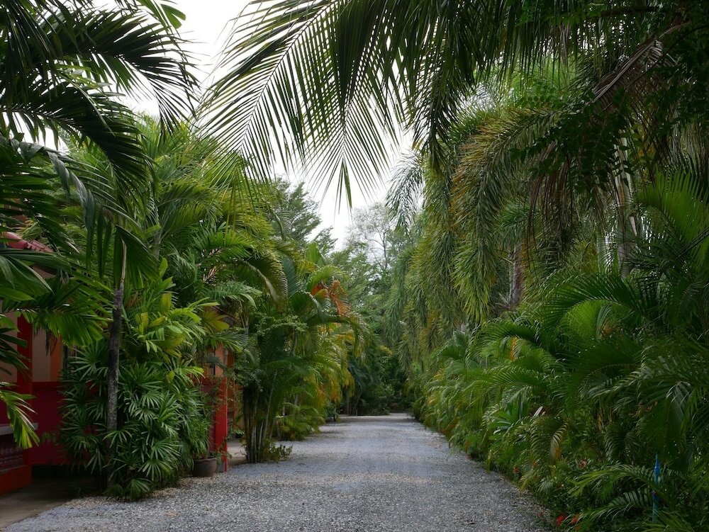 Фото Baan Suan Palm Resort