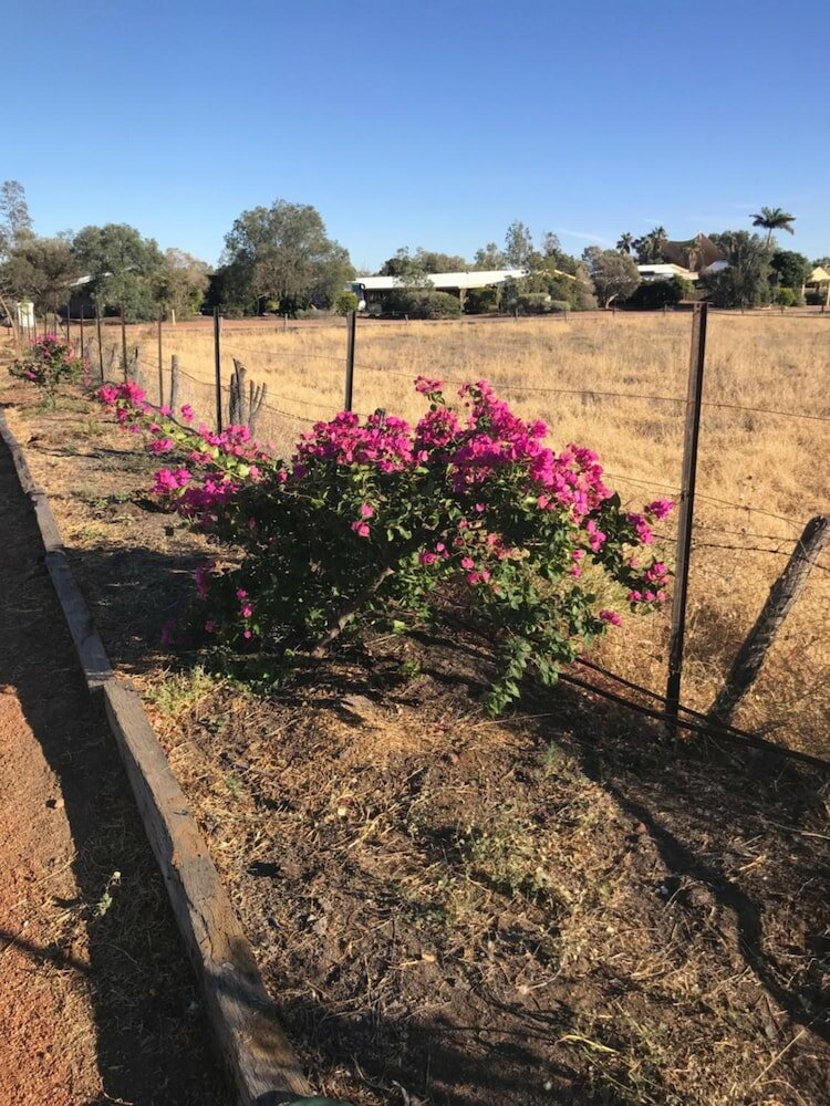 Фото Longreach Outback Adventures