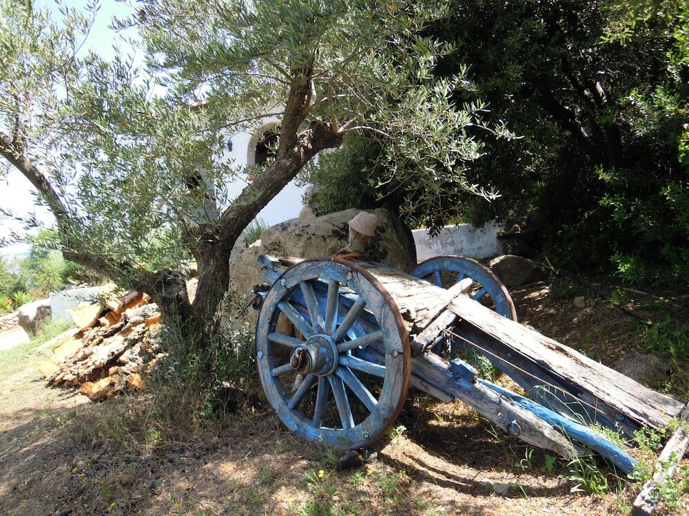 Фото Agriturismo Camisadu