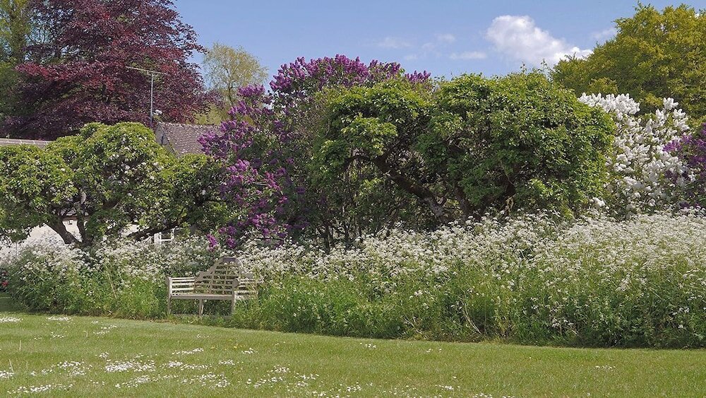 Фото Saratoga Cottage