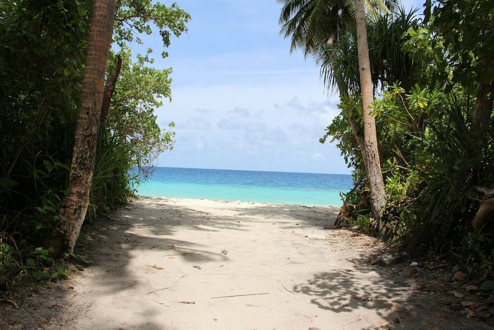 Фото The Castaway Retreat