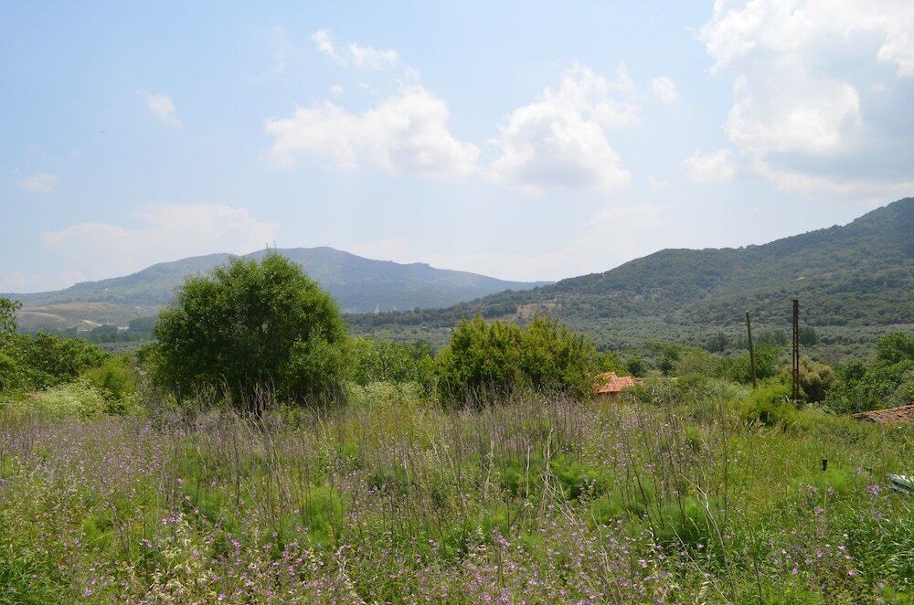 Фото Son Vapur Butik Otel