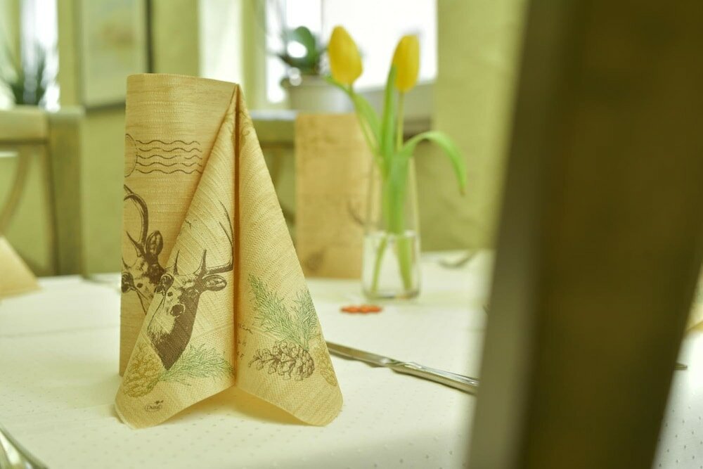 Фото Hotel - Restaurant Hirsch