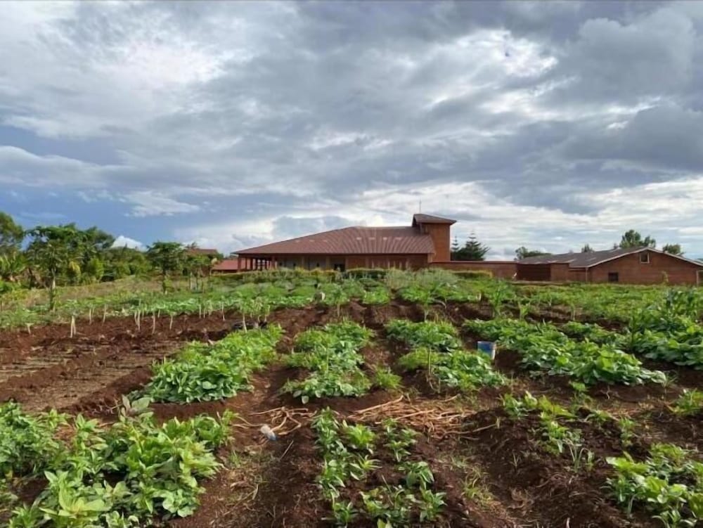Фото St. Catherine Monastery