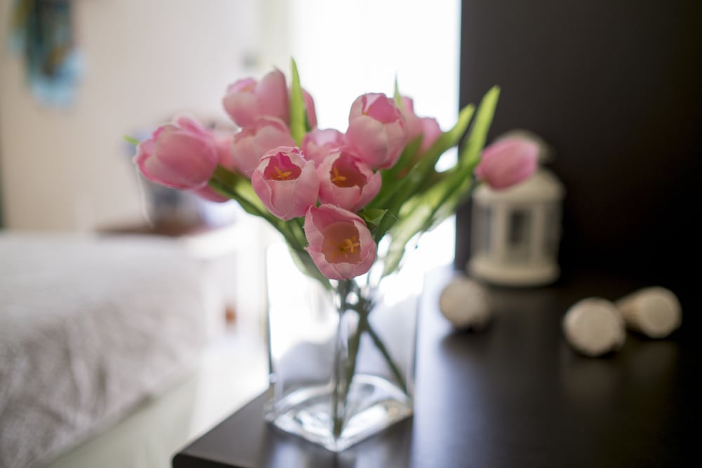 Фото Si Rimini Hotel